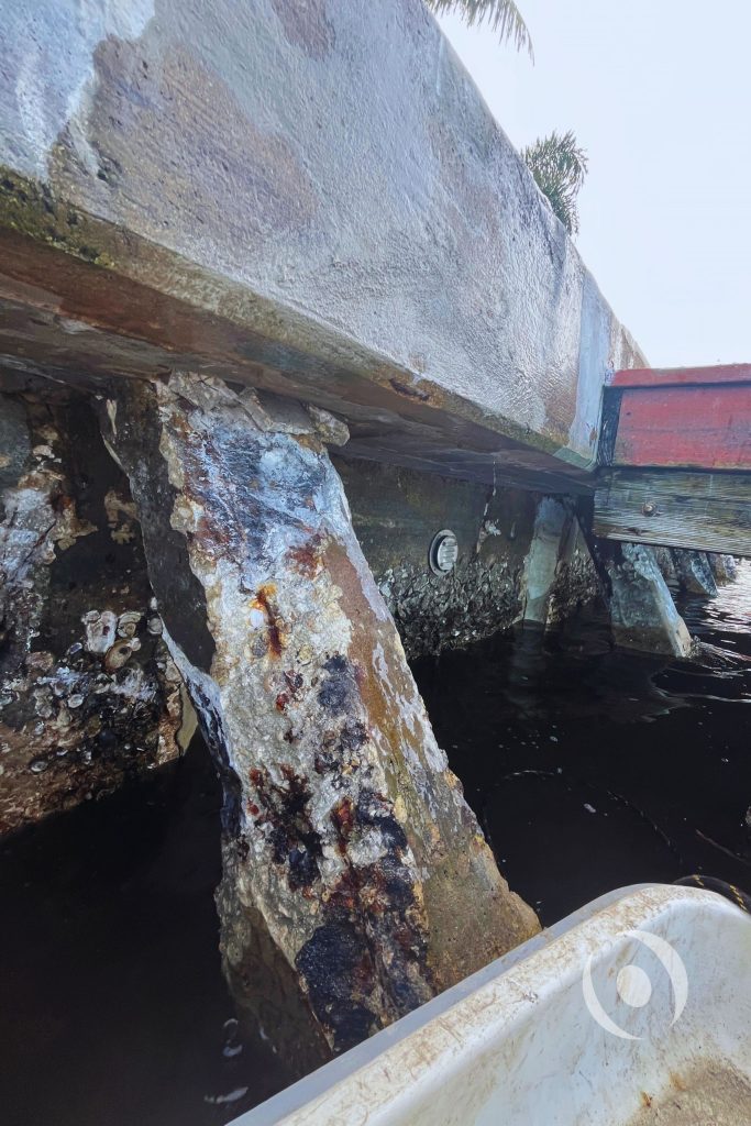 Severely deteriorated seawall batter pile with exposed and corroded reinforcing steel, spalling concrete, and marine growth requiring structural rehabilitation in South Florida