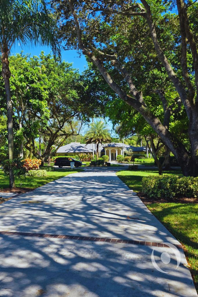 Before photo of the existing tree-lined driveway approach to a luxury single-story residence in Parkland, Florida, prior to the two-story addition and full renovation designed and engineered by NOHMIS