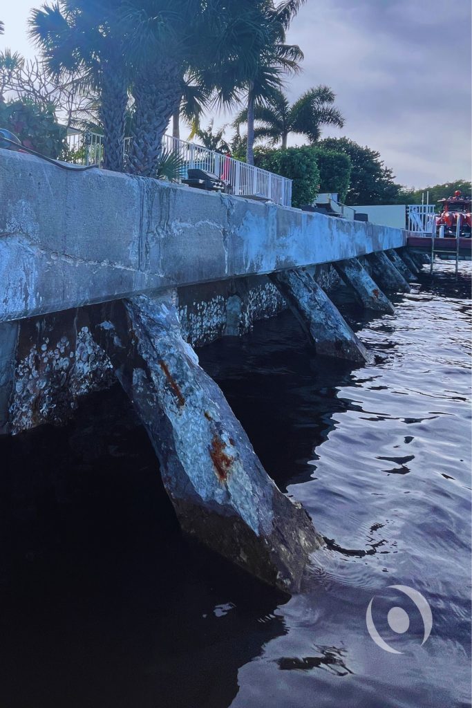 Full seawall elevation view showing multiple deteriorated batter piles with rust staining, concrete spalling, and structural damage along a Boynton Beach waterfront residential complex