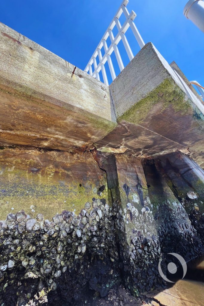 Seawall cap and precast panel showing concrete deterioration, rust staining, and barnacle buildup along a South Florida waterfront property in Boynton Beach