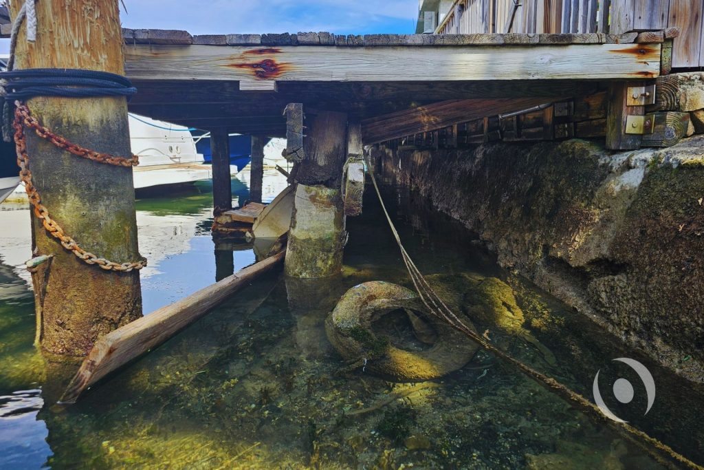 Under-dock inspection revealing timber pile marine decay and coral rock seawall erosion at the waterline — Miami Beach canal seawall assessment by NOHMIS