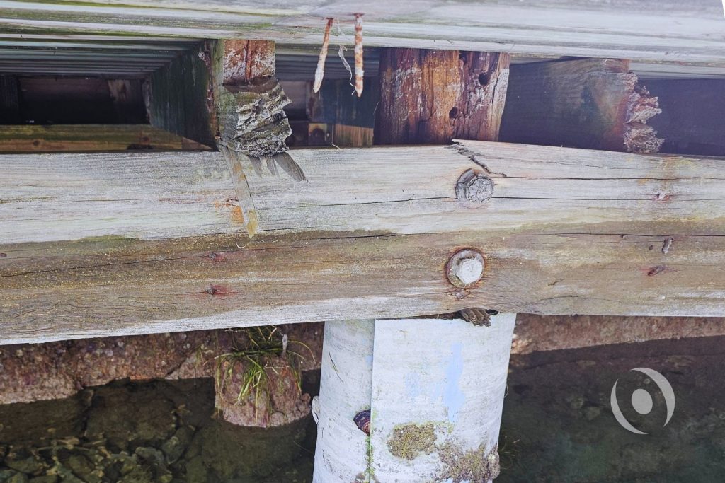 Close-up of deteriorated timber dock pile with advanced marine decay and splintered framing — structural seawall inspection findings, Miami Beach waterfront